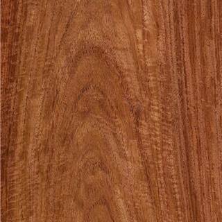 缅甸花梨(红木) Myanmar Padauk